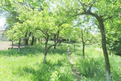 De vanzare casa mare P+M cu anexe in Beius - 10