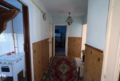 Garsonieră decomandată în Petros - 6