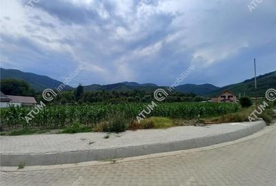 De 733 mp in Boita Sibiu - 2