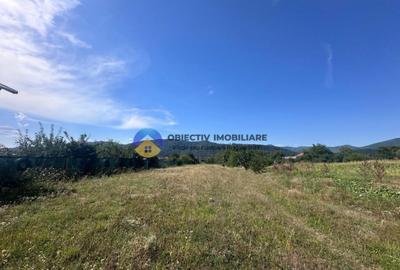 Teren intravilan de vanzare 1.688 mp, Dumbrava Ro?ie - 2