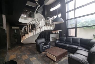Casă individuală cu 8 camere cu Teren 355 Mp în Colentina - 9