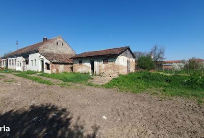 Spațiu comercial, în Zădăreni - 13