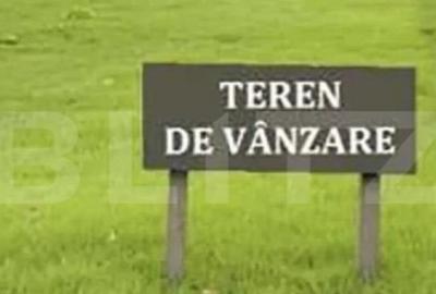 Teren intravilan Timisoara pentru dezvoltare rezidentiala 8, - 1