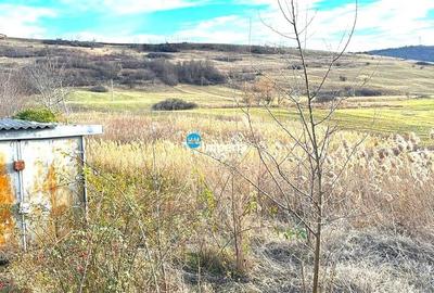 Teren pt case 2000 mp, asfalt, Balciu Miroslava - 3