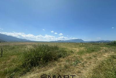 Teren de 7500 mp, în Râșnov - 8