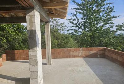 Casa la rosu in cicarlau - 7