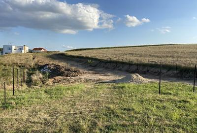 Spațiu comercial, în Sălicea - 3