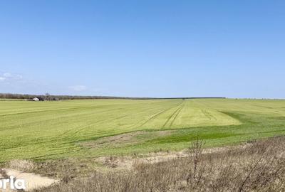 Teren de 444 mp, în Central - 4