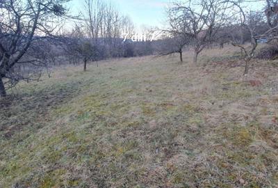 Spațiu comercial, în Cacova Ierii - 4