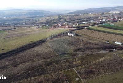 Spațiu comercial, în Nord - 12