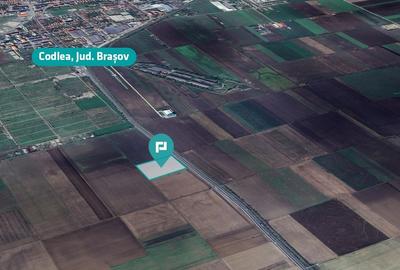 Teren 11.884mp, Codlea Jud.Brașov - 1