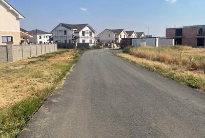 Teren Mosnita Nouă-Urseni - 3