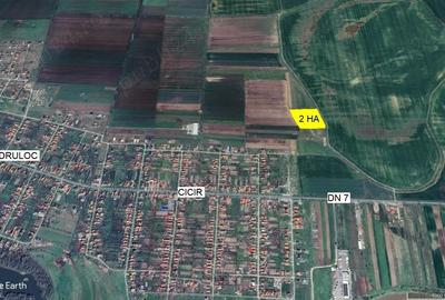 Teren de 20600 mp, în Cicir - 6