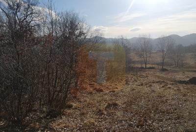 Teren 1800 mp intravilan, zona Gloduri - 13