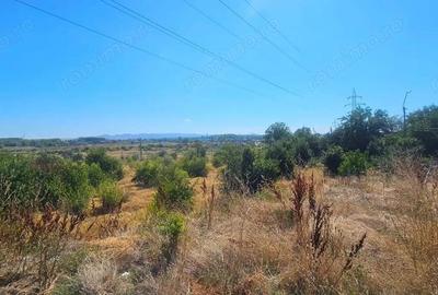 Teren de 14168 mp, în Brăilița - 1