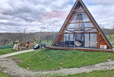 Casă cu 3 camere cu Teren 1256 Mp în Giulești - 2