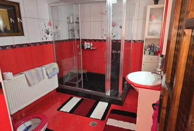 Casă cu 6 camere în Jimbolia - 4