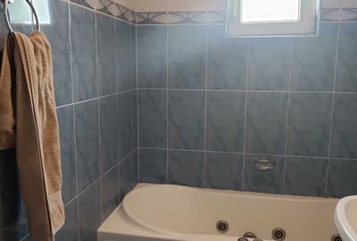 Apartament cu 3 camere semidecomandat în Careiului - 1
