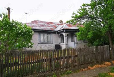 Casă cu 4 camere în Bordeasca Veche - 3