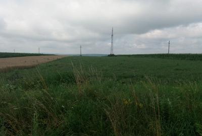 Teren extravilan acces la viitoarea centura zona Manastirea Doamnei