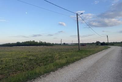 Spațiu comercial, în Păușa - 6