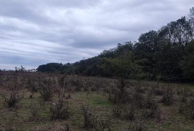 Teren intravilan  950 mp lângă pădurea  Pipera , Oxford Garden, Voluntari - 3