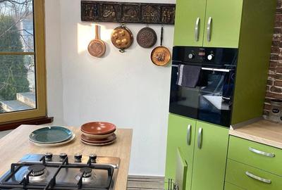 Casă cu Teren 1905 Mp în Stejeriș - 12