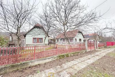 Teren de 3252 mp, în Tauț - 14