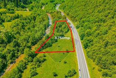 Teren de 3750 mp, în Brădet