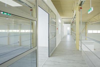 Inchiriere depozit/hala/spatiu industrial Otopeni - Centura - 9