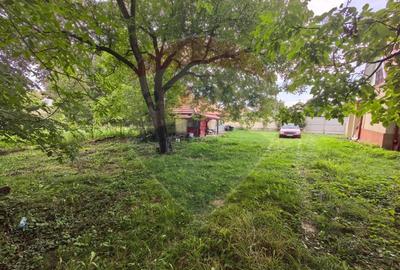 Casa traditionala De Vanzare cu 5 Hectare de teren - 12