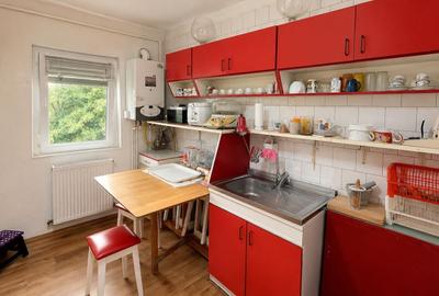 Apartament cu 3 camere semidecomandat în Lipovei - 6