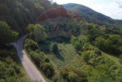 Teren intravilan de vanzare in Magureni - 7