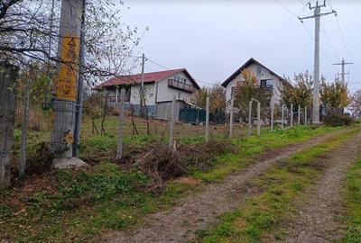 Valea ursului, TEREN 1000mp. utilitati la limita terenului - 3