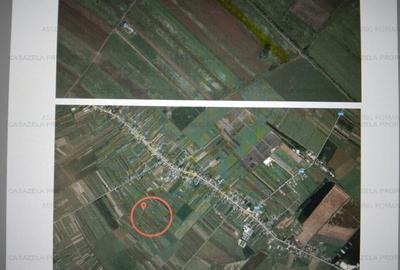 Teren agricol extravilan de 6797 mp, în Tărtășești - 2