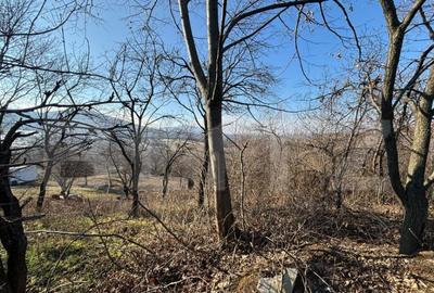 Teren intravilan de vanzare, 17700 mp Zalau - 4