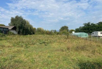 Teren intravilan Halchiu, str. Feldioarei 1600 mp - 1