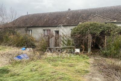 Casa individuala in Ghiroda cu 1509 mp teren - 3