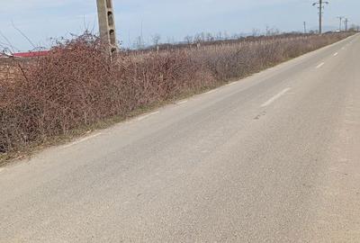 Spațiu comercial, în Apa - 8