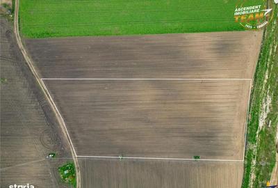 Spațiu comercial, în Central - 3