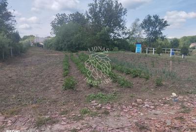 Teren Construcții extravilan de 701 mp, în Unirea - 1