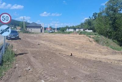 Casă cu Teren 8000 Mp în Panticeu - 4