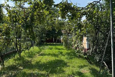 Casă cu 6 camere în Liteni - 4