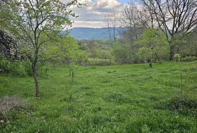 Teren de 949 mp, în Sălătrucel - 5