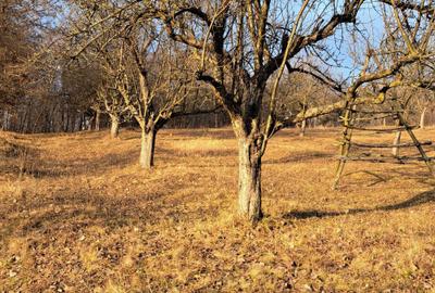 Spațiu comercial, în Șuici - 2