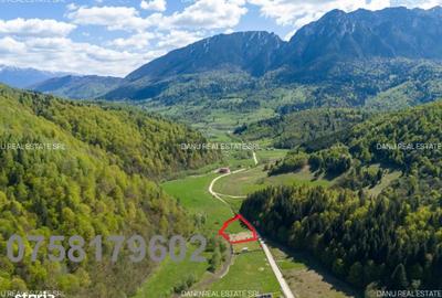 Spațiu comercial, în Central - 14