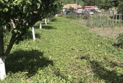 Spațiu comercial, în Central