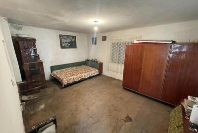 Casă cu 5 camere cu Teren 8000 Mp în Orlești - 1