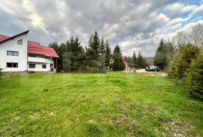 Spațiu comercial, de 600 mp, în Babarunca - 5