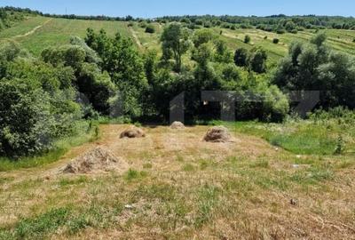Teren intravilan Ghinda, 1200mp